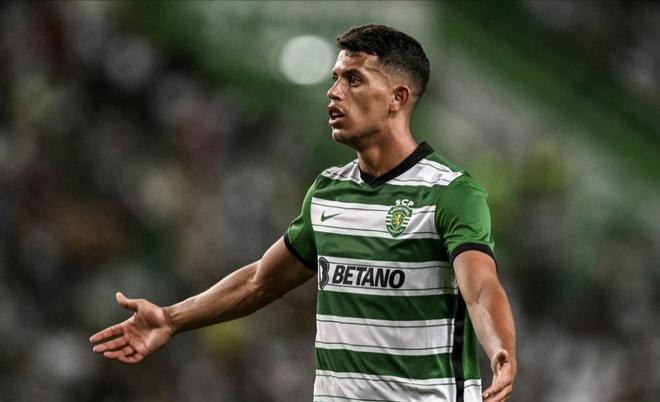 响了普通粉 响了普通粉