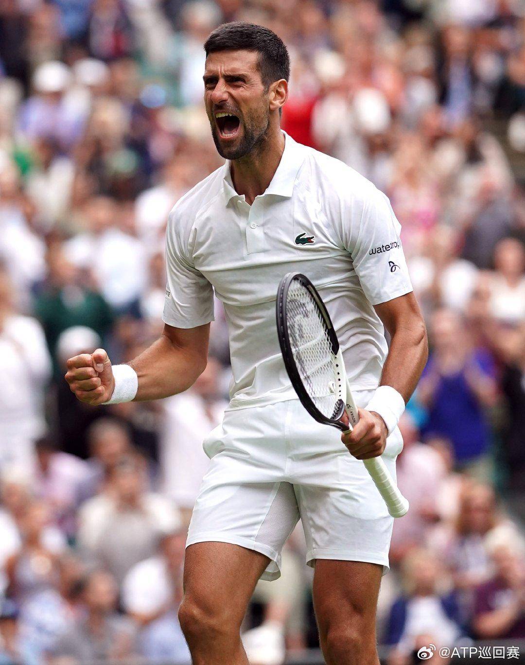 借其顽强的 借其顽强的