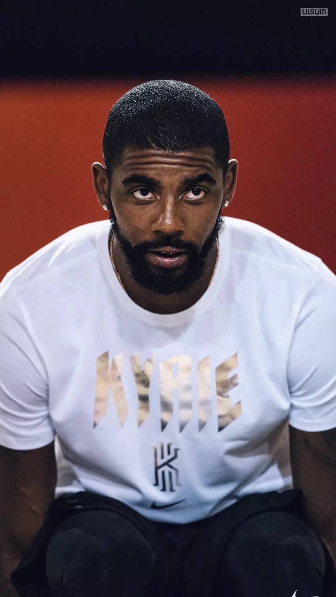 转而加大自 转而加大自