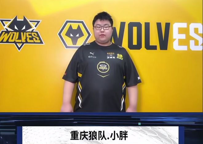 承担